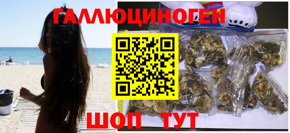Ступино  Псилоцибиновые грибы мухоморы  как найти   Псилоцибиновые грибы GOLDEN TEACHER  Вход с VPN 